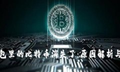 比特币钱包里的比特币消