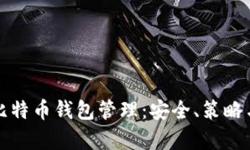 全面解析比特币钱包管理：安全、策略与最佳实践