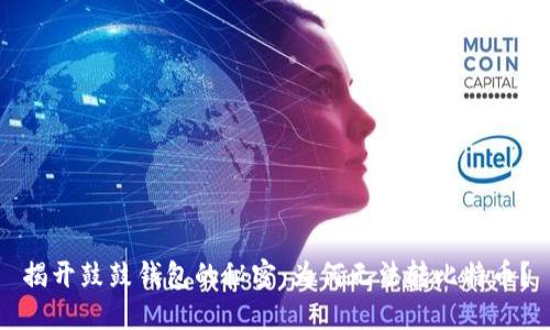 揭开鼓鼓钱包的秘密：为何无法转比特币？