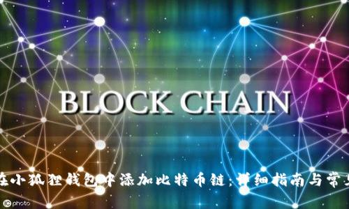 如何在小狐狸钱包中添加比特币链：详细指南与常见问题