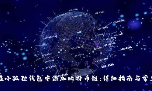 如何在小狐狸钱包中添加比特币链：详细指南与常见问题