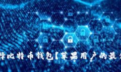 为什么选择比特币钱包？
