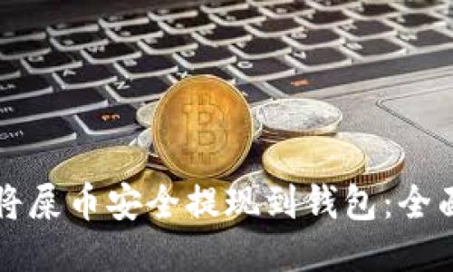 如何将屎币安全提现到钱包：全面指南