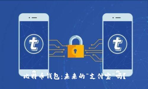 比特币钱包：未来的“支付宝”吗？