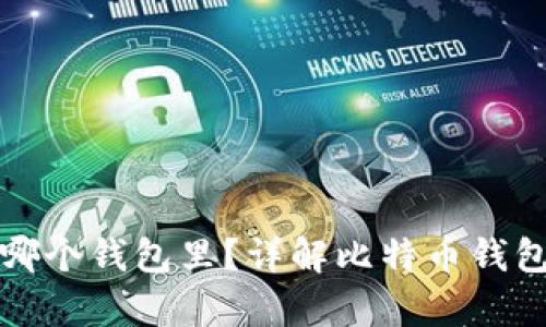 比特币存在哪个钱包里？详解比特币钱包种类与选择