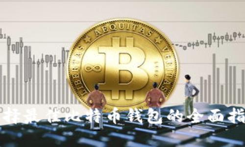 选择最佳比特币钱包的全面指南