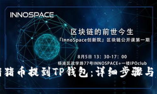 如何将猪猪币提到TP钱包：详细步骤与注意事项
