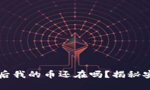 TPWallet跑路后我的币还在吗？揭秘安全和风险管理
