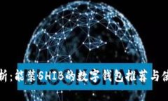 全面解析：能装SHIB的数字