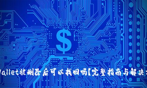 tpWallet被删除后可以找回吗？完整指南与解决方案