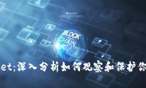 探秘TPWallet：深入分析如何观察和保护你的钱包资产
