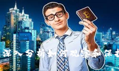 探秘TPWallet：深入分析如何观察和保护你的钱包资产