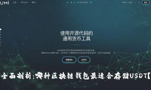 全面剖析：哪种区块链钱包最适合存储USDT？