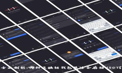 全面剖析：哪种区块链钱包最适合存储USDT？