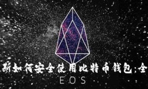 在俄罗斯如何安全使用比特币钱包：全面指南