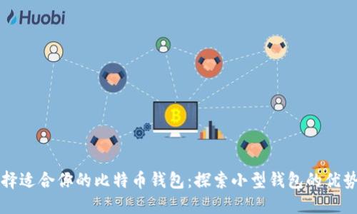 如何选择适合你的比特币钱包：探索小型钱包的优势与特点