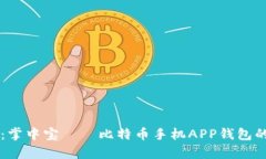 智能投资：掌中宝——比