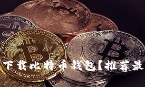 如何安全快速下载比特币钱包？推荐最佳存储盘选择