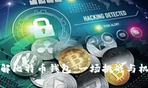 如何安全高效地破解比特币钱包：一场挑战与机遇并存的技术之旅
