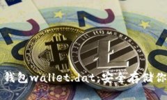 掌握比特币钱包wallet.dat：