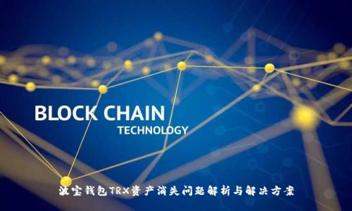 波宝钱包TRX资产消失问题解析与解决方案