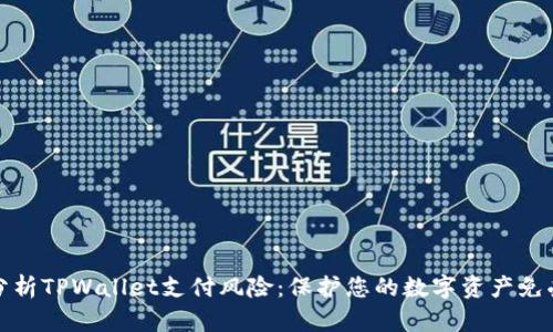 深入分析TPWallet支付风险：保护您的数字资产免受威胁