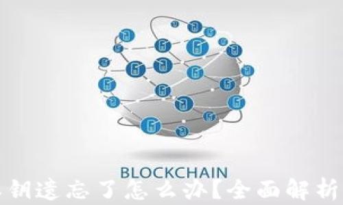 
tpwallet私钥遗忘了怎么办？全面解析与解决方案