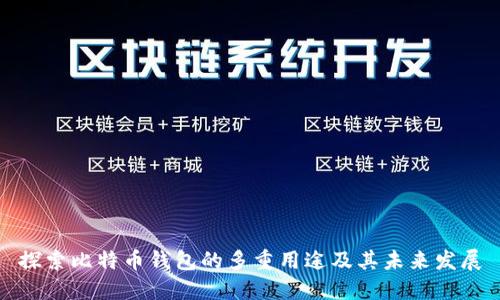 探索比特币钱包的多重用途及其未来发展