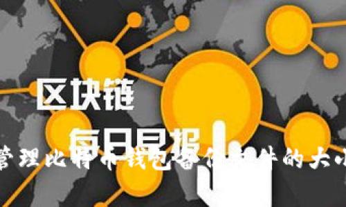 如何有效管理比特币钱包备份文件的大小与安全性