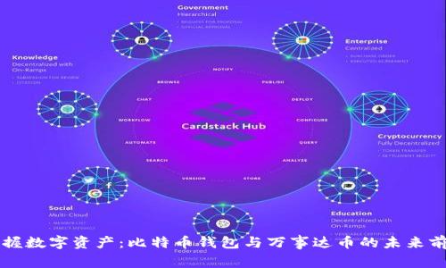 掌握数字资产：比特币钱包与万事达币的未来前景
