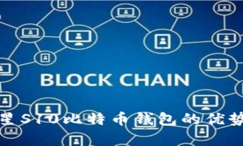 全面解析：3星S10比特币钱包的优势与使用技巧