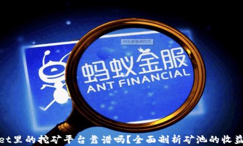
TPWallet里的挖矿平台靠谱吗？全面剖析矿池的收益和风险