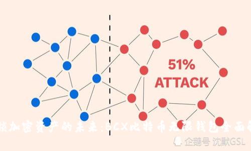 解锁加密资产的未来：BCX比特币无限钱包全面解析