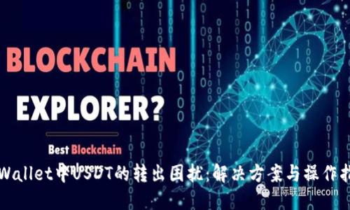 TPWallet中USDT的转出困扰：解决方案与操作指南
