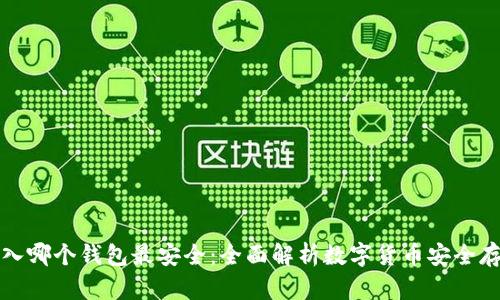 屎币存入哪个钱包最安全：全面解析数字货币安全存储方案