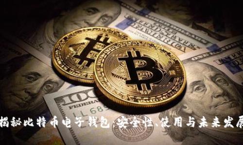 揭秘比特币电子钱包：安全性、使用与未来发展