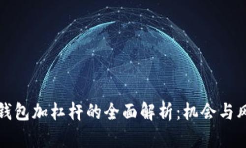 以太坊钱包加杠杆的全面解析：机会与风险并存