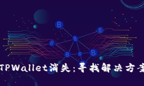 当波场链的TPWallet消失：寻找解决方案与防范措施