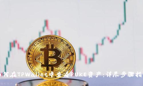 如何在TPWallet中查看PUKE资产：详尽步骤指南
