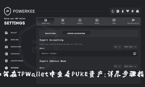 如何在TPWallet中查看PUKE资产：详尽步骤指南