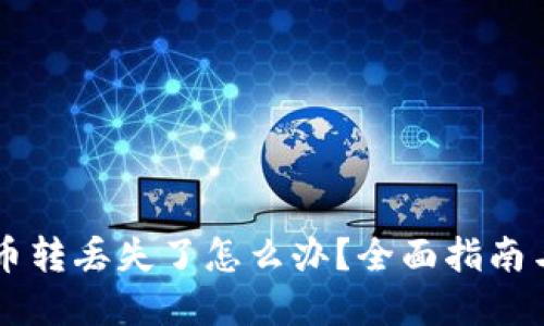 TPWallet币转丢失了怎么办？全面指南与解决方案