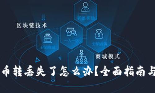 TPWallet币转丢失了怎么办？全面指南与解决方案