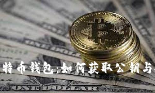 : 揭秘比特币钱包：如何获取公钥与安全存储