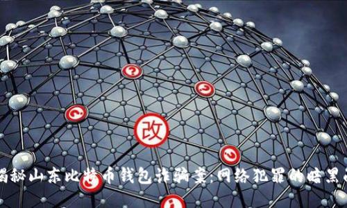 揭秘山东比特币钱包诈骗案:网络犯罪的暗黑面