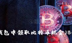 如何在比特币钱包中领取
