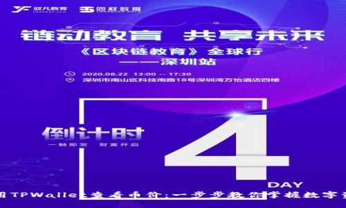 如何使用TPWallet查看币价：一步步教你掌握数字资产动态