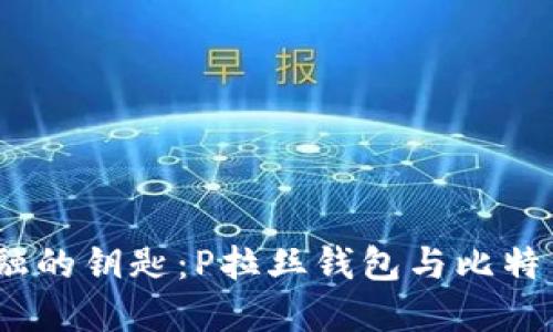 掌握未来金融的钥匙：P拉丝钱包与比特币的完美结合