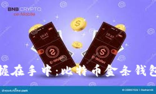 将财富牢牢掌握在手中：比特币金条钱包的投资与安全