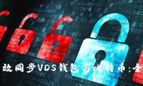 如何高效同步VDS钱包与比特币：全面指南
