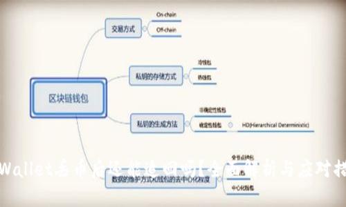 TPWallet丢币后还能追回吗？全面解析与应对措施